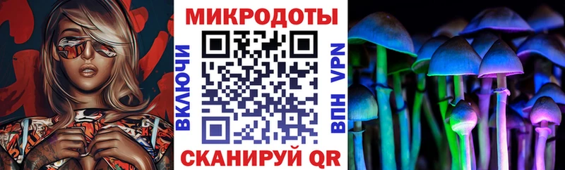 Псилоцибиновые грибы MAGIC MUSHROOMS  закладка  Обь 